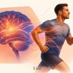 neuronauka ruhu iak aktyvnist perezavantazhuiie mozok 20260924 135620